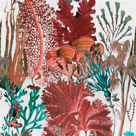 Coral Reef Set Of 3 Panels By Mind The Gap Red Mural Wallpaper Direct