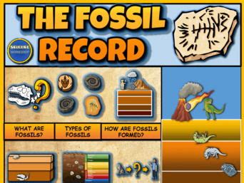 The Fossil Record: Interactive Google Slides + Printable Worksheets | Teaching Resources