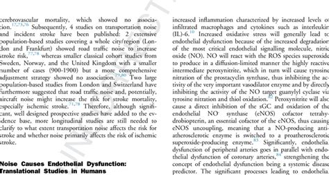 Noise sources and levels and their adverse health effects on the basis ...