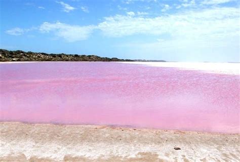 Pink Lake in Senegal Retba | RiTeMaiL