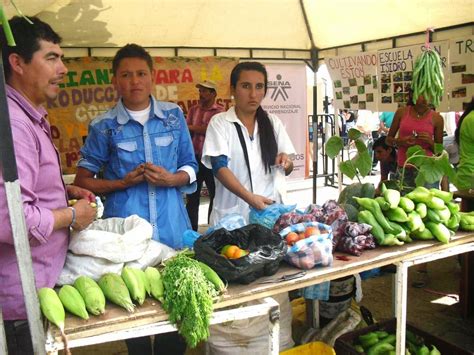 EXPOSICION DE PRODUCTOS AGRICOLAS EN EL DIA DEL CAMPESINO EN PIEDECUESTA