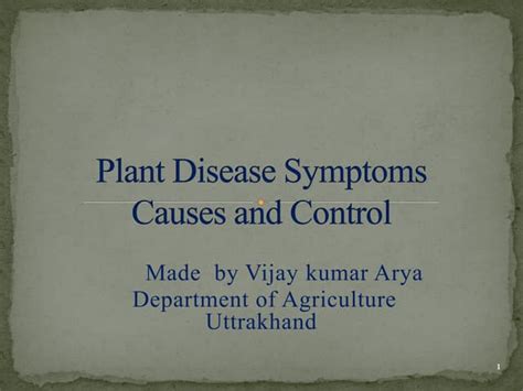 Plant disease symptoms converted | PPT