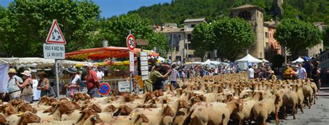 F Te De La Transhumance De Castellane Maison De La Transhumance