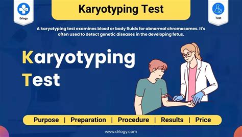 Karyotyping Test Purpose Preparation Procedure Results Price