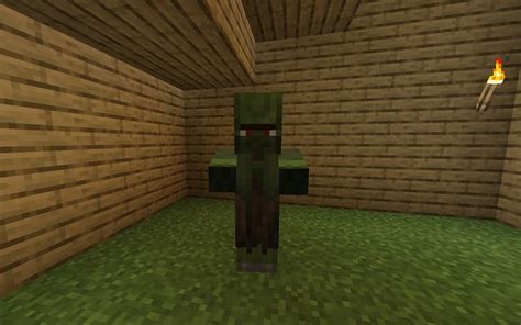 How To Cure Zombie Villager In Minecraft 121