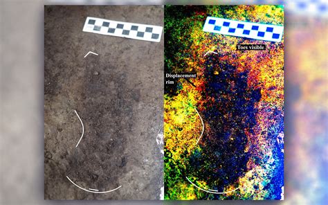 Oldest Human Footprints In North America Discovered Heres What They