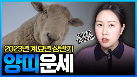 🐑2023년 계묘년 상반기 양띠 운세🐑 양띠는 역마가 강하다 Youtube