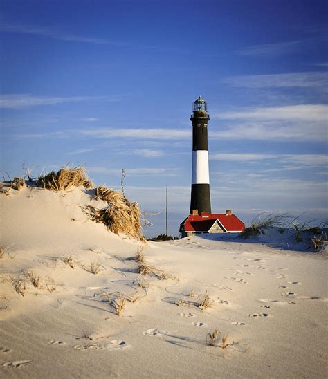 Deer Trails to Lighthouse Photograph by Vicki Jauron - Fine Art America