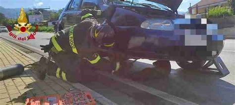 Giffoni Valle Piana Incidente Stradale Cane Incastrato Sotto Auto