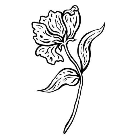 Bloem Met Stengel En Bladeren Hand Getekend Vectorillustratie Zwart