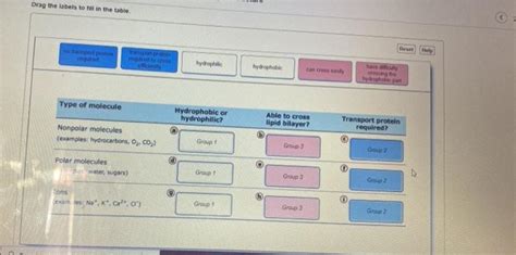 Solved Drag The Labels To Fill In The Table Reset Hydrophic Chegg