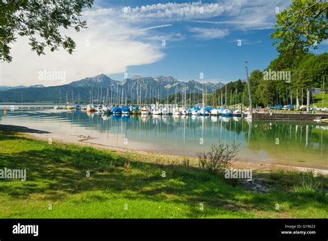 Lake Forggensee In Bavaria Germany Stock Photo Alamy