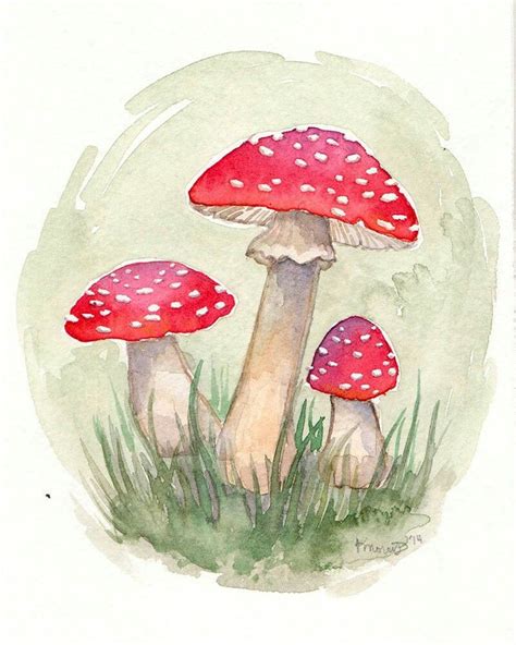 Toadstools Mushroom Art Watercolor Print Mushroom Drawing