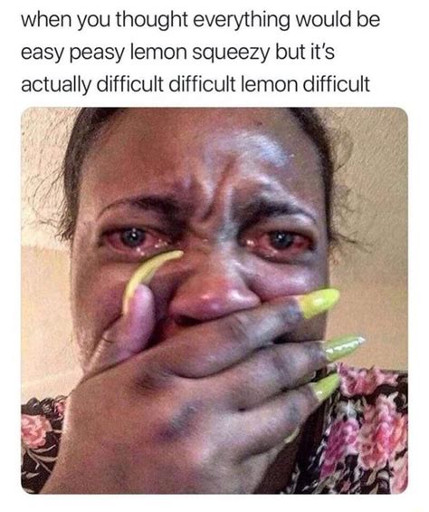 When You Thought Everything Would Be Easy Peasy Lemon Squeezy But Its Actually Difficult