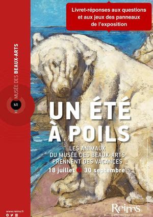 Calam O R Ponses Aux Questions De L Exposition Un T Poils