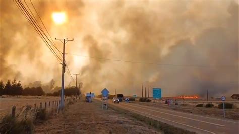 Ordenan Evacuar Sector De Purén Por Incendio Forestal Epicentro Chile