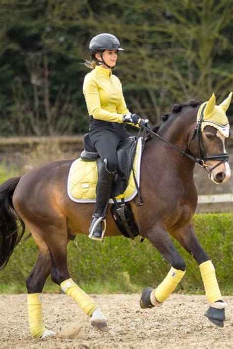 Dressage Saddle Online | Top Saddles for Horseback Riding