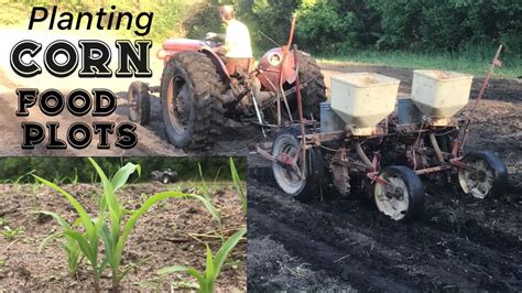 Planting Corn Food Plots With 2 Row Planter YouTube