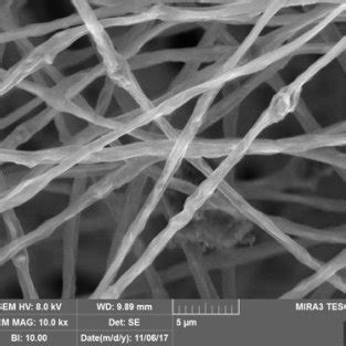 Images Of Nanofibrous Scaffolds As Dermal Substitutes A