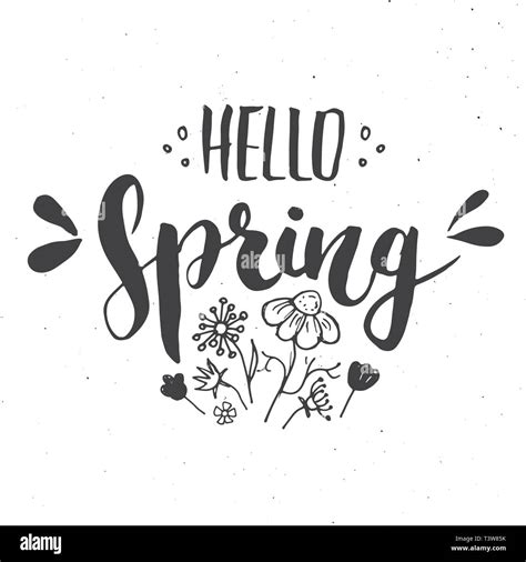 Hello Spring Calligraphy Lettering Handwritten Sign Hand Drawn Grunge