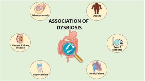 Shows Association of Dysbiosis. Conditions associated with dysbiosis ...