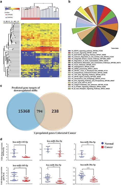 Genome Wide Mrna And Mirna Expression Profiling Reveal Multiple