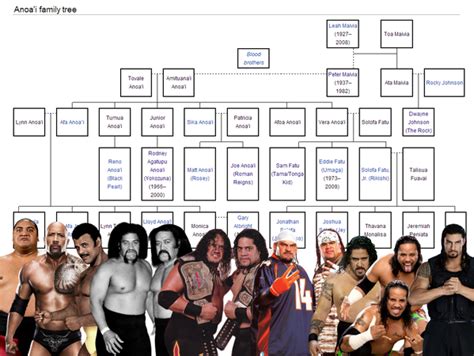 Roman Reigns Family Tree