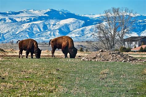 Most Idyllic Small Towns In Wyoming Worldatlas