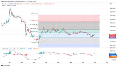 Solana Price Prediction Today October 31 2022 Sol Usd Moves Upwards