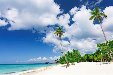 Hermoso Paisaje Caribe O Con Palmeras En La Playa Imagen De Archivo