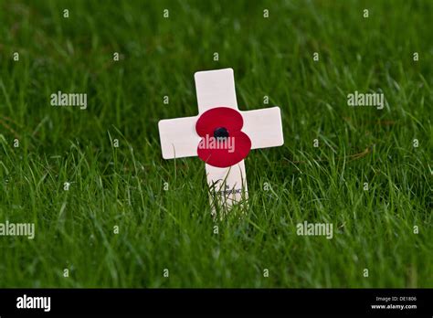 Remembrance Day poppy Stock Photo - Alamy