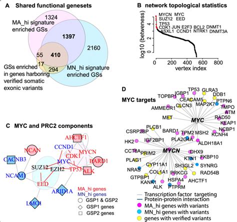 Functional Enrichment And Network Analysis Link The HR NB Prognostic