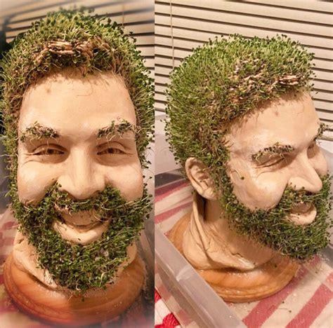 Custom Chia Pets