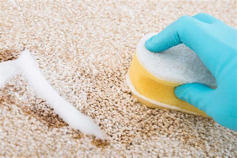 How To Use Baking Soda As A Carpet Cleaner – Home Clean Expert