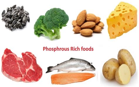 Good Health And Nutrition By Odra Phosphorus Helps In Forming Bone