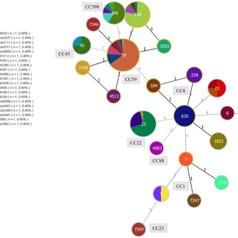 Minimum Spanning Tree Constructed By GoeBURST Based On The MLST Data Of