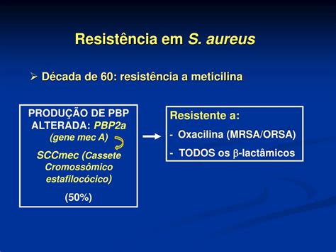 Ppt Antimicrobianos Mecanismos De Resistência Powerpoint Presentation