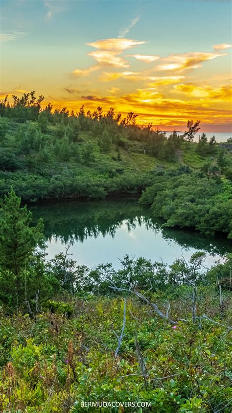 Lover’s Lake Nature Reserve Facebook Cover & Phone Wallpaper ...