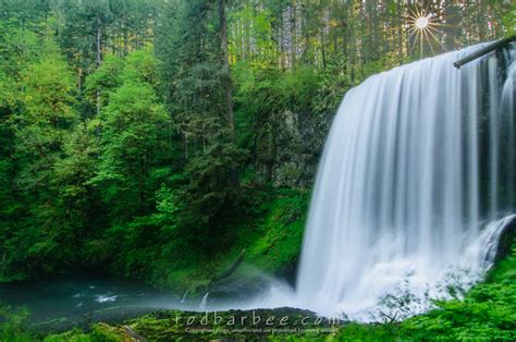 Silver Falls State Park, April 26-29, 2018 - Rod Barbee Photo Workshops