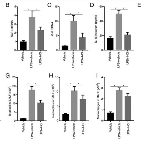 Oi Inhibits Lps Induced Inflammatory Responses In Mice With Acute