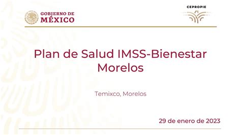 Plan De Salud Imss Bienestar Morelos Temixco Morelos 29 De Enero De