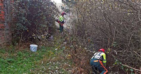 DIPUTACIÓN Las brigadas forestales limpian el entorno urbano de 330