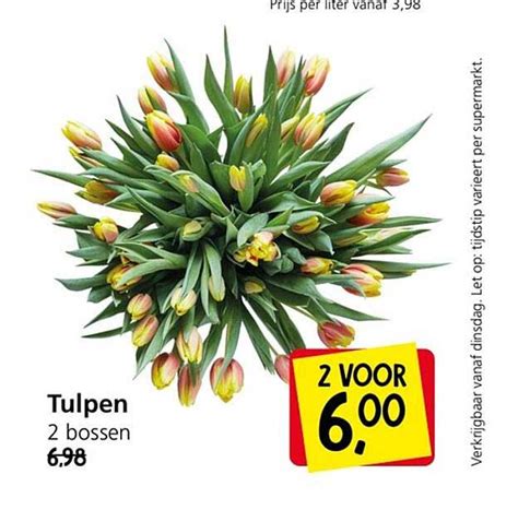 Tulpen Aanbieding Bij Jan Linders 1Folders Nl