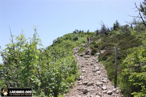 Rochers Des Hirschsteine Vosges ALPINISME Forum La Rando