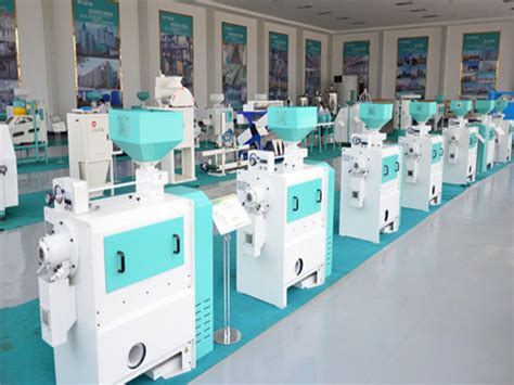 Millet Peeling Machine Millet Polishing Machine China Wintone Grain