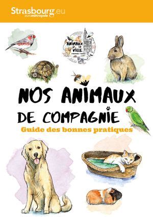 Calaméo Nos animaux de compagnie Guide des bonnes pratiques