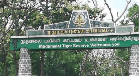 Mudumalai Tiger Reserve - Discover India