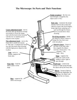 Microscope Quiz