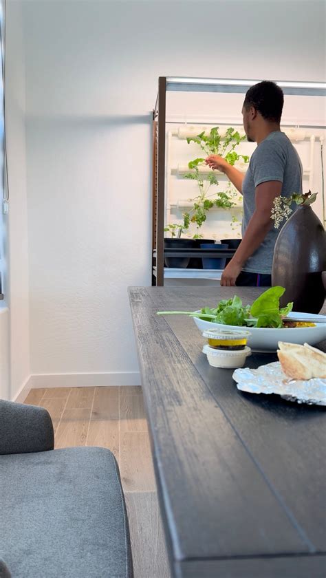 how to make a vertical garden living wall