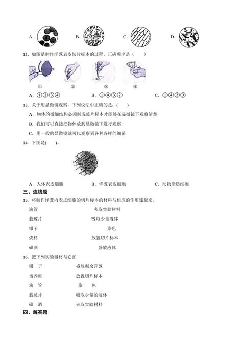 教科版（2017秋）六年级上册科学14观察洋葱表皮细胞练习题（附答案） 21世纪教育网